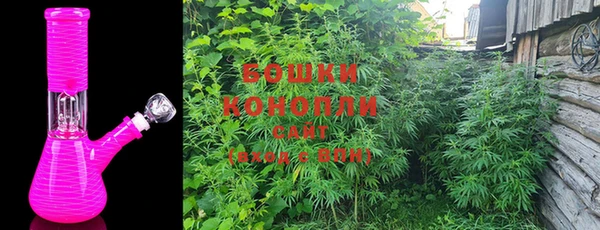 трава Козельск
