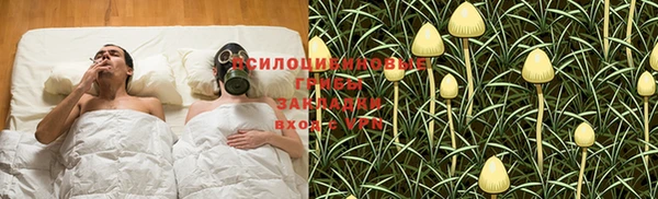 apvp Козловка