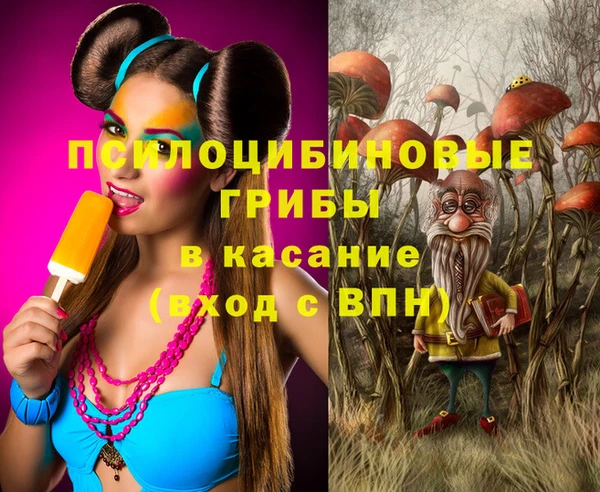 трава Козельск
