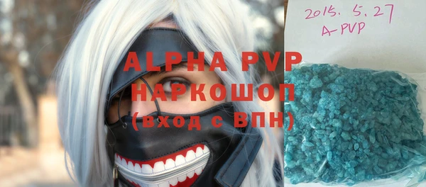 прущий лед Корсаков
