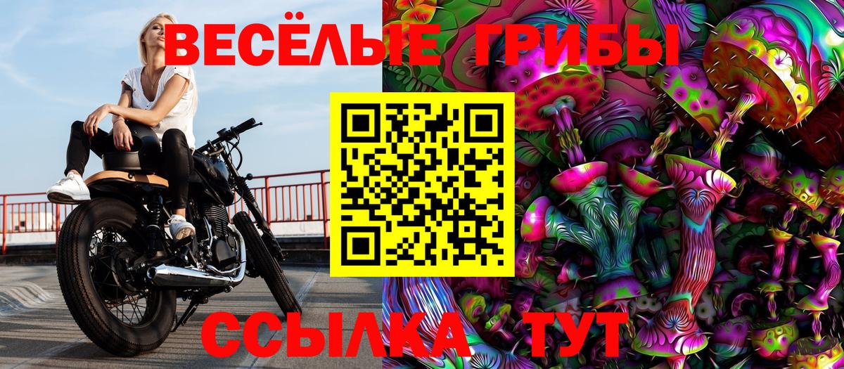 Кунгур  Галлюциногенные грибы прущие грибы  Псилоцибиновые грибы Cubensis  Вход с VPN 