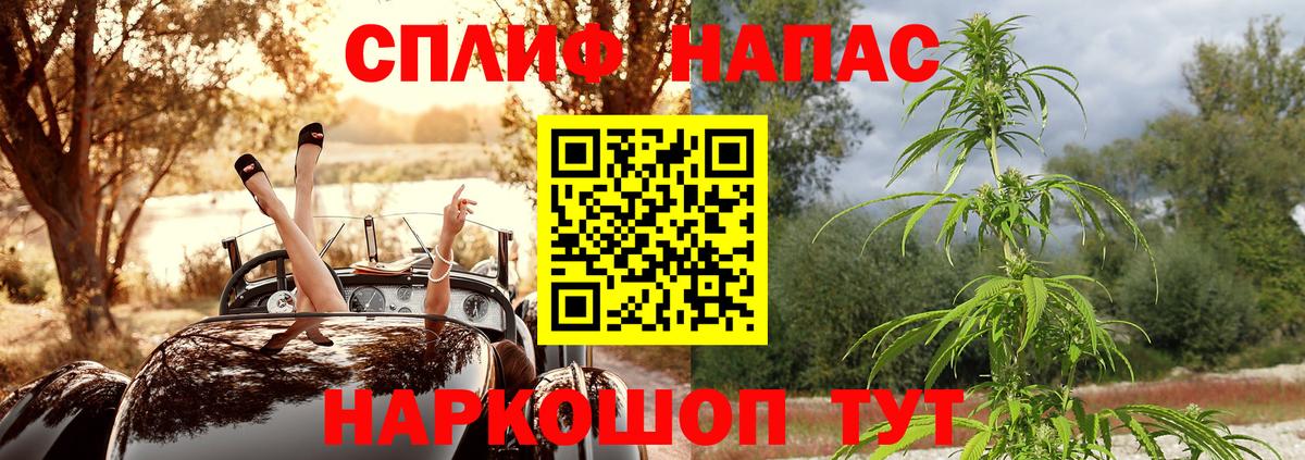 Псилоцибиновые грибы Кунгур